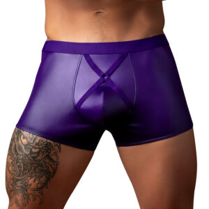 Male Power Eggplant Crossover Short Plum L