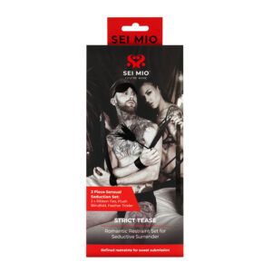 SEI MIO Strict Tease Ribbon Ties, Blindfold and Tickler Kit